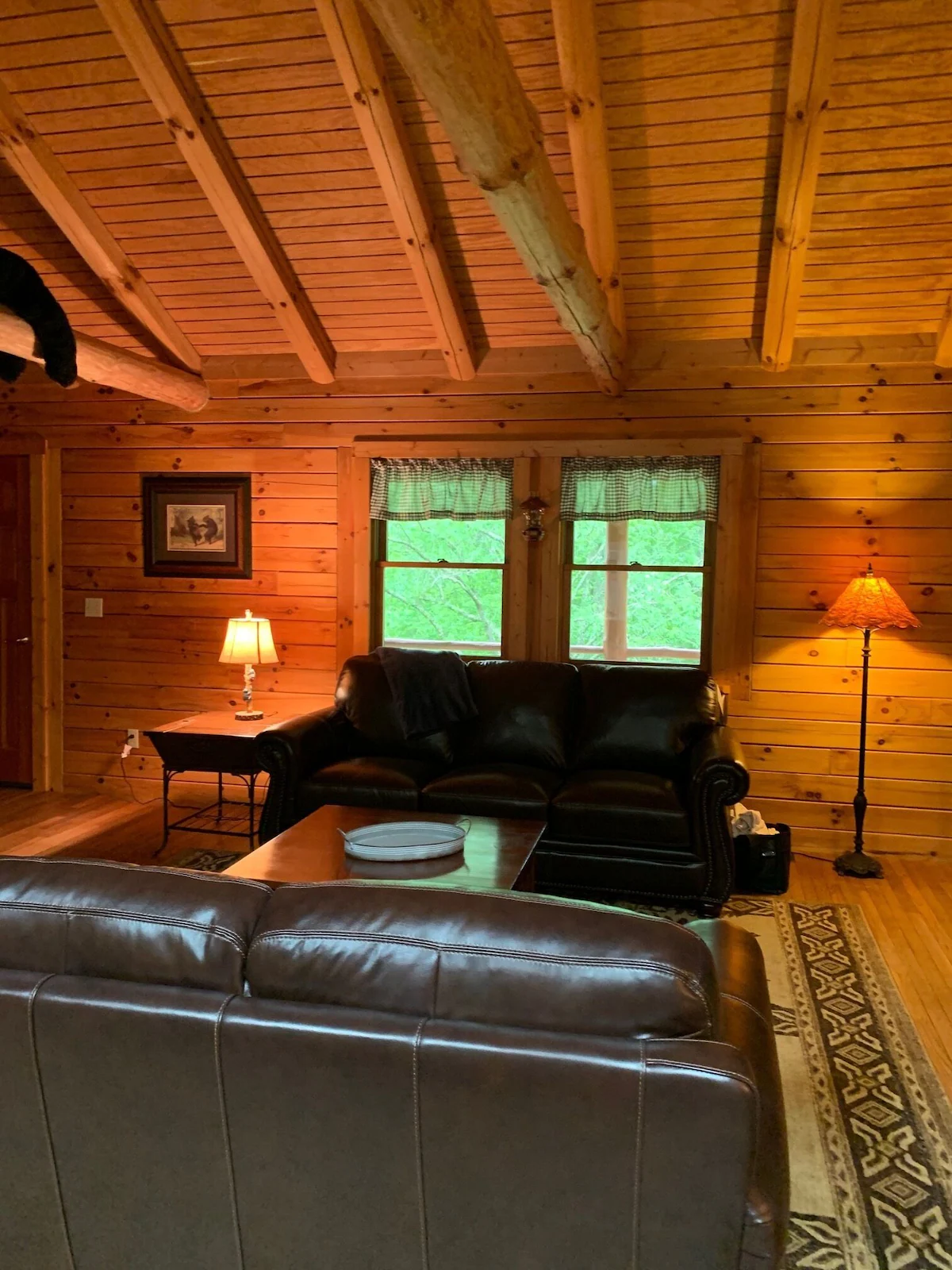 Open lawn beside the cabin in summer.