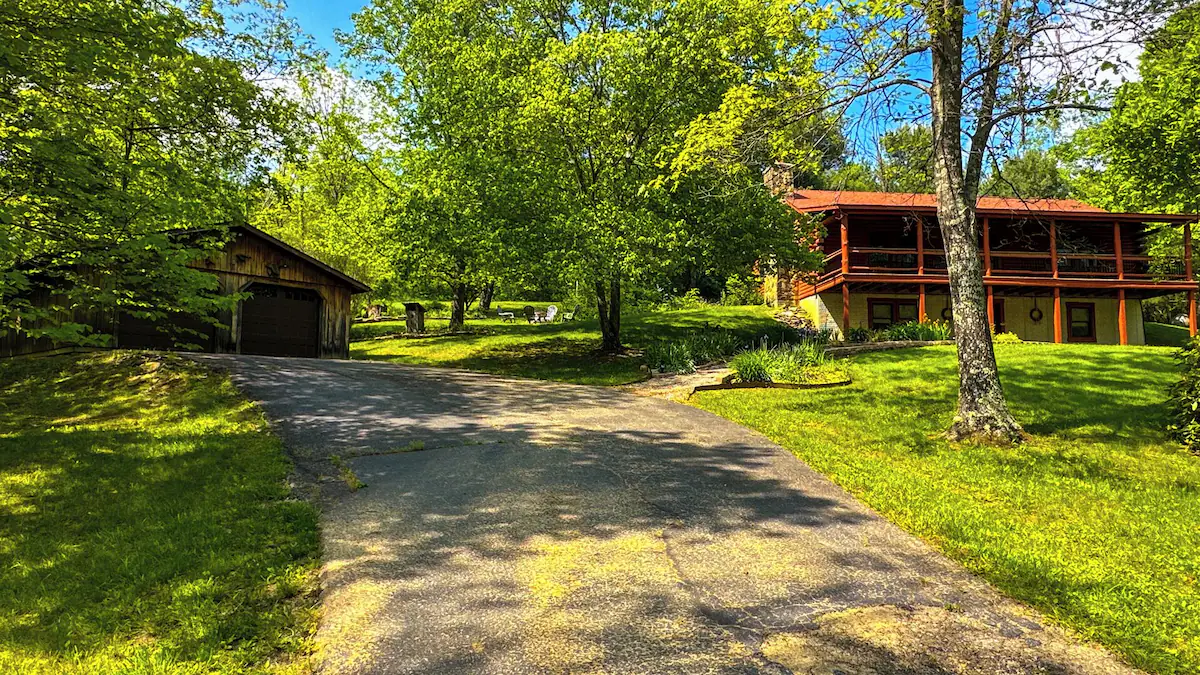 Path leading through the trees toward the pond.