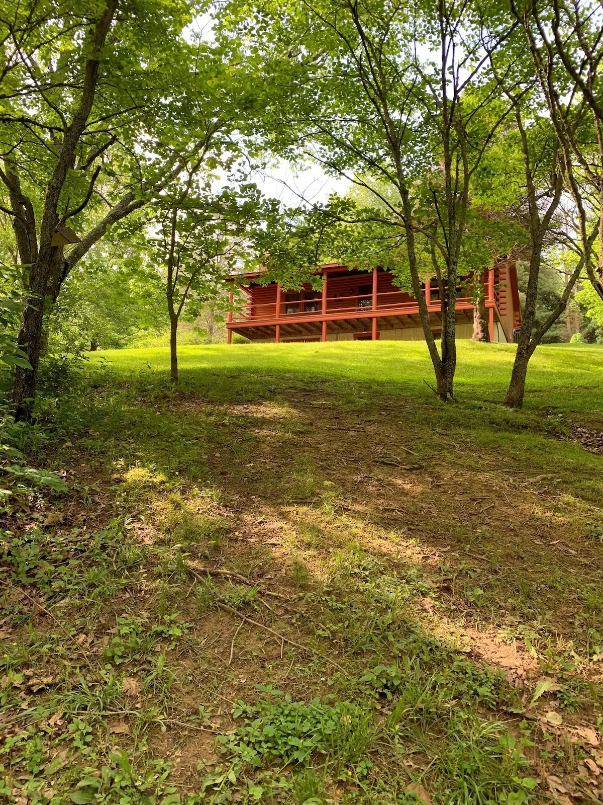 The cabin seen from the wooded hillside across a bright green lawn.